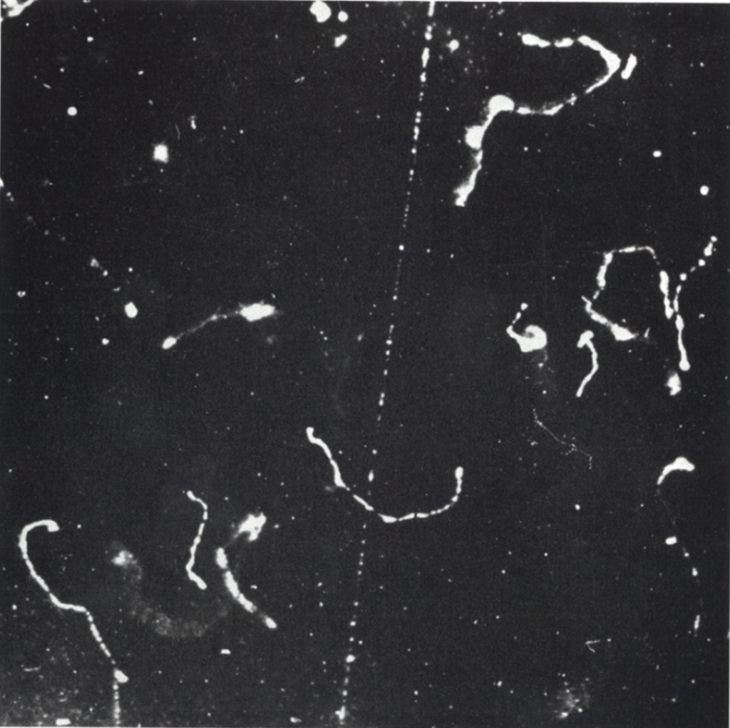 fast_slow electron expansion cloud chamber