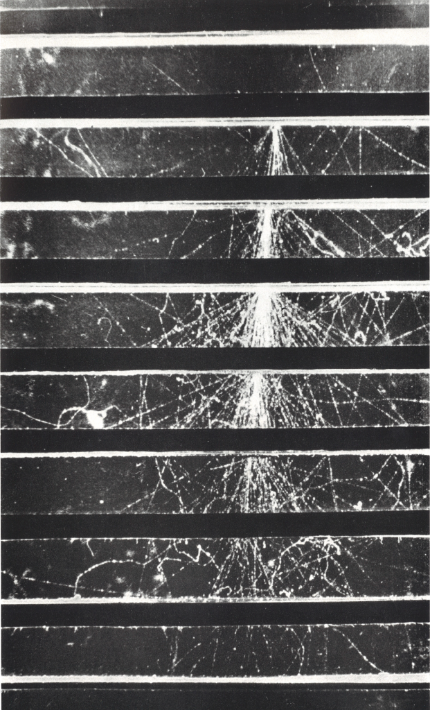 electromagnetic shower photon initiated