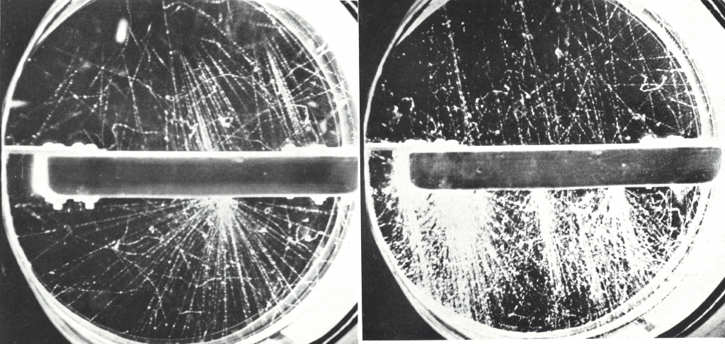 secondary electromagnetic shower